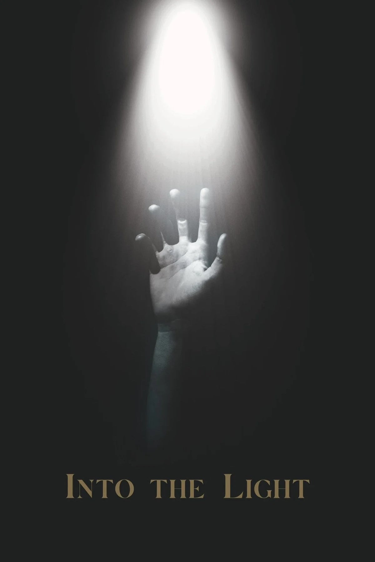 INTO THE LIGHT