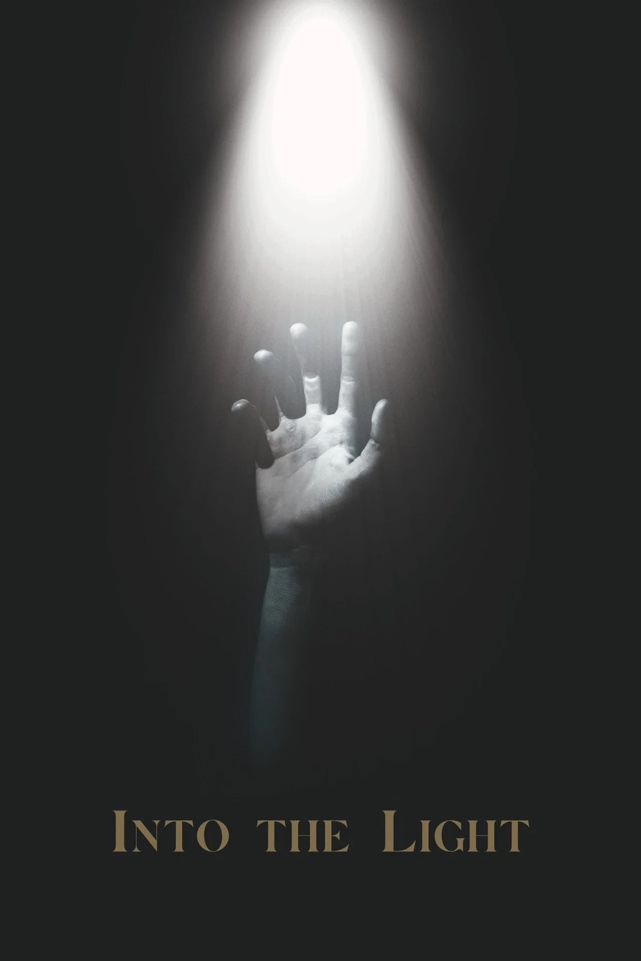 INTO THE LIGHT